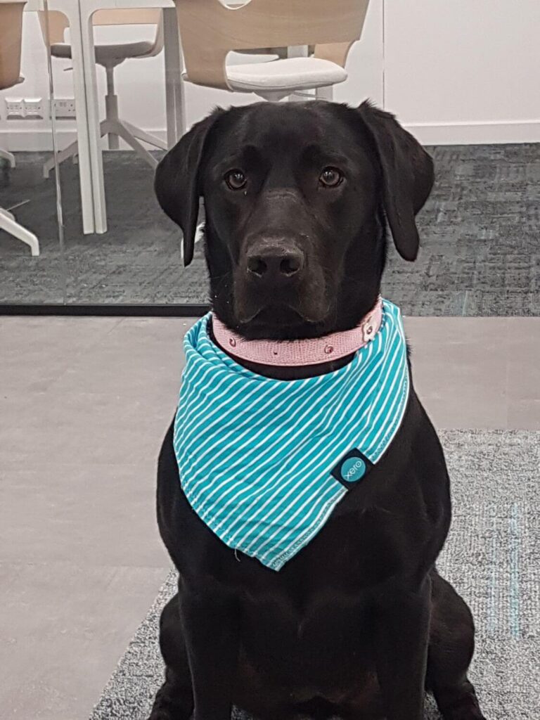 Bella